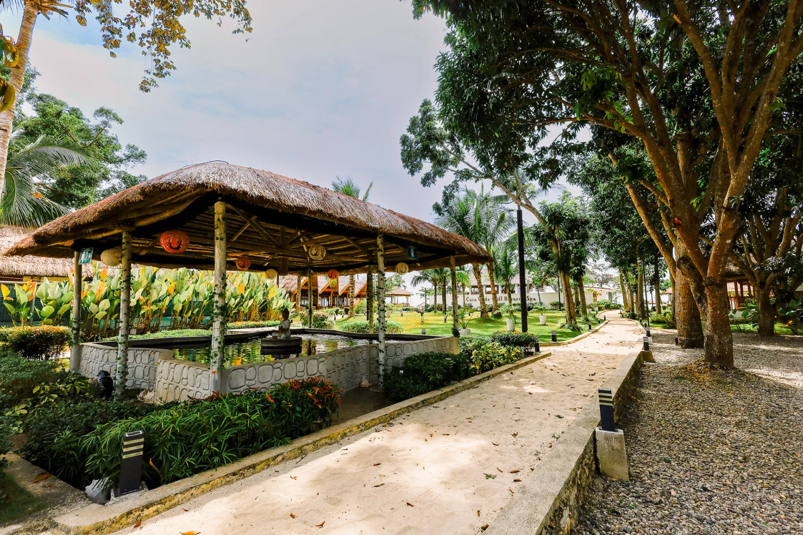 Fish Pond