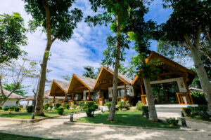 Gallery Thumbnail 1
